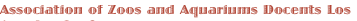 shapeimage_8_link_2